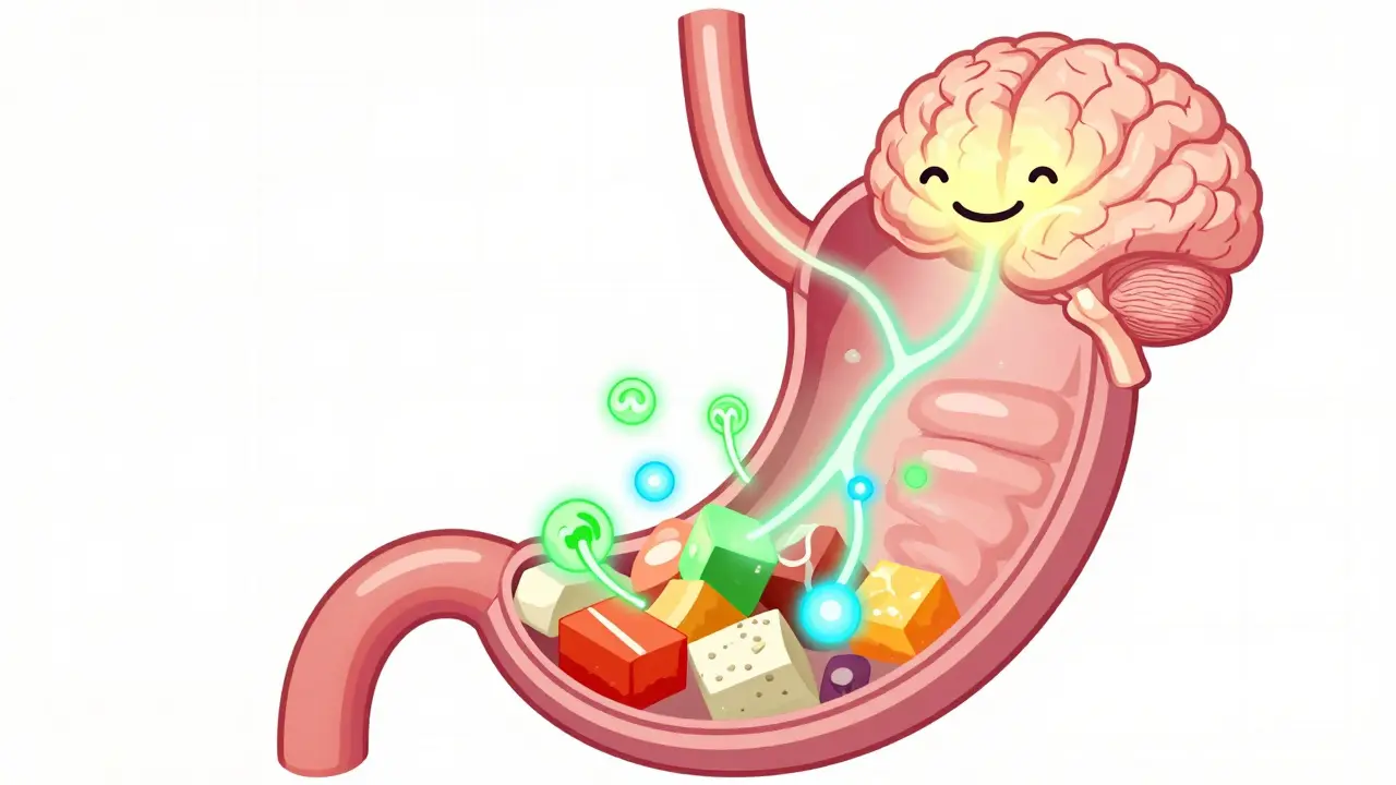 Estómago y cerebro conectados por señales hormonales brillantes